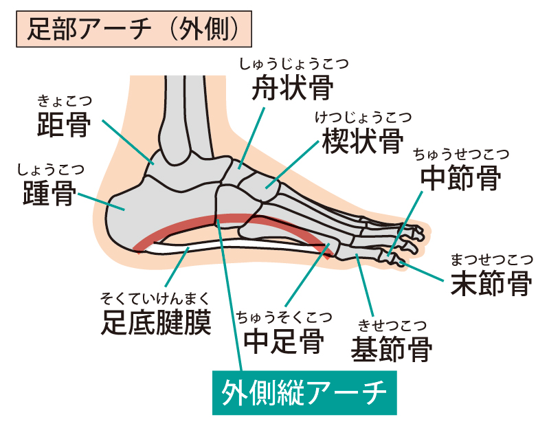 足のアーチ