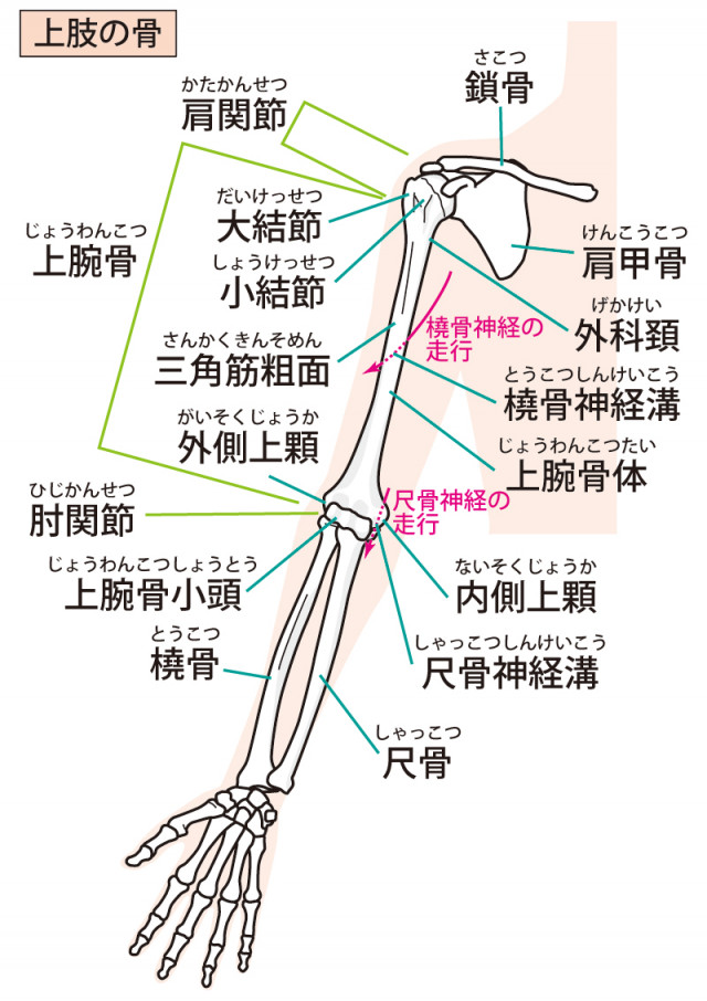 上半身の歪みは手首の痛みにつながります。