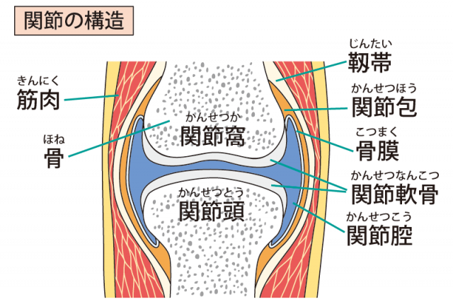 ガングリオン 鎌倉市大船の整体 年の実績 あおば鍼灸整骨院 ガングリオン 鎌倉市大船の整体 年の実績 あおば鍼灸整骨院