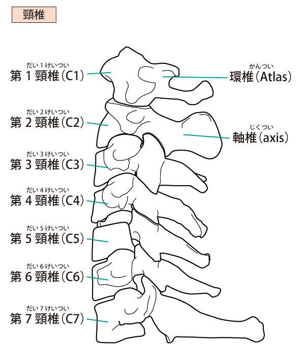 眼精疲労への当院のアプローチは?