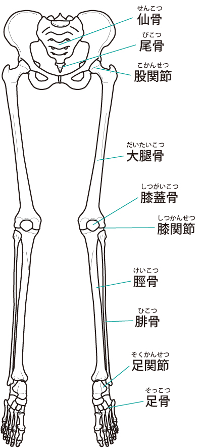 踵の痛みへの当院のアプローチは?