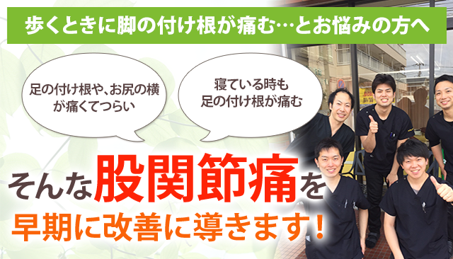 股関節痛 鎌倉市大船の整体 年の実績 あおば鍼灸整骨院